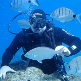 Diving on Lanzarote, Playa Blanca, 6m deep